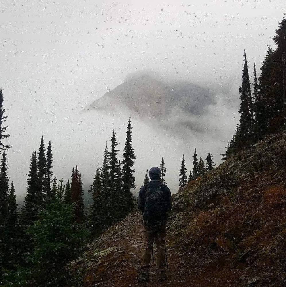 Meet your Posher, Cory